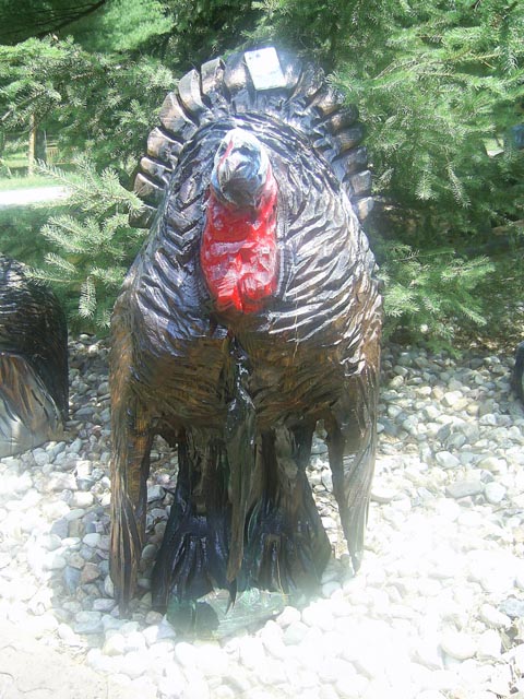 Turky 2